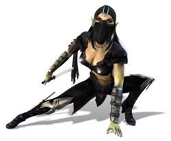 darpha.png