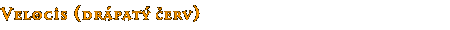 Velocis (drápatý červ)