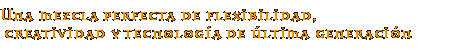 Una mezcla perfecta de flexibilidad, creatividad y tecnología de última generación