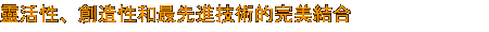 靈活性、創造性和最先進技術的完美結合 靈活性、創造性和最先進技術的完美結合